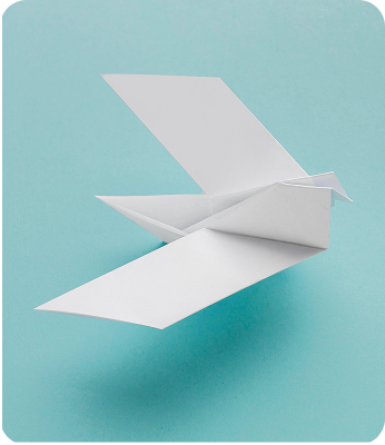 top view paper dove with copy space 1